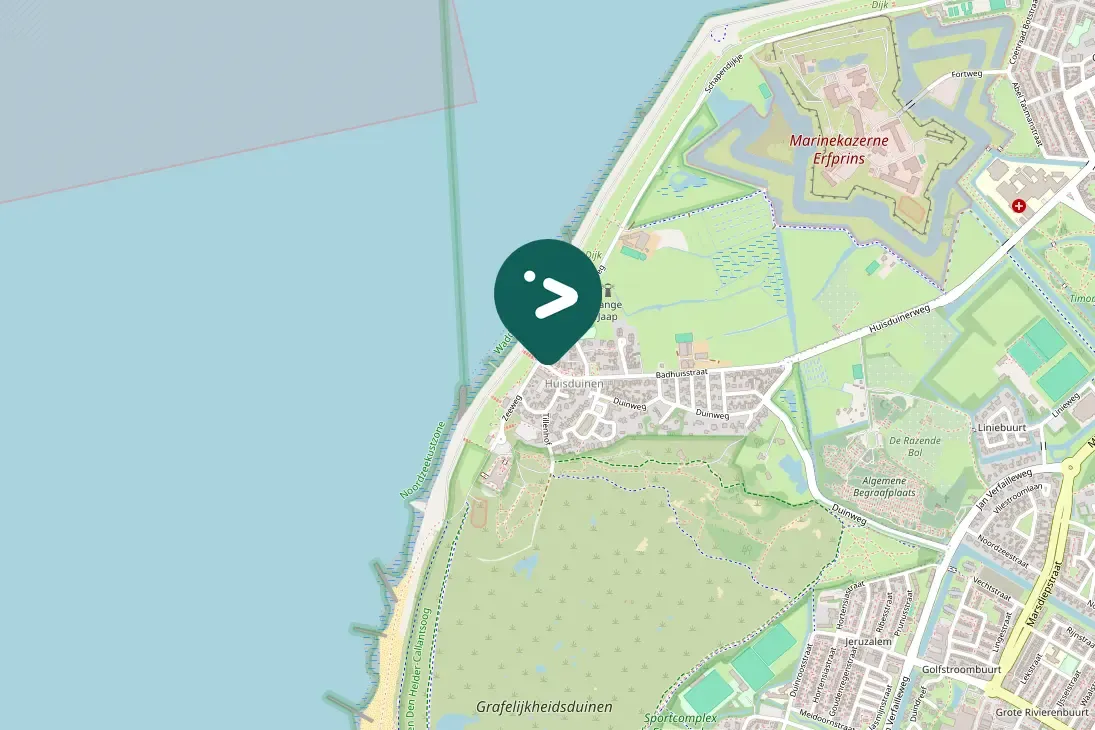 Spotted Eurasian Oystercatcher