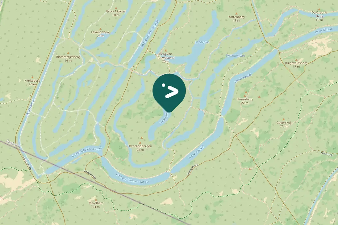 Spotted Common Merganser