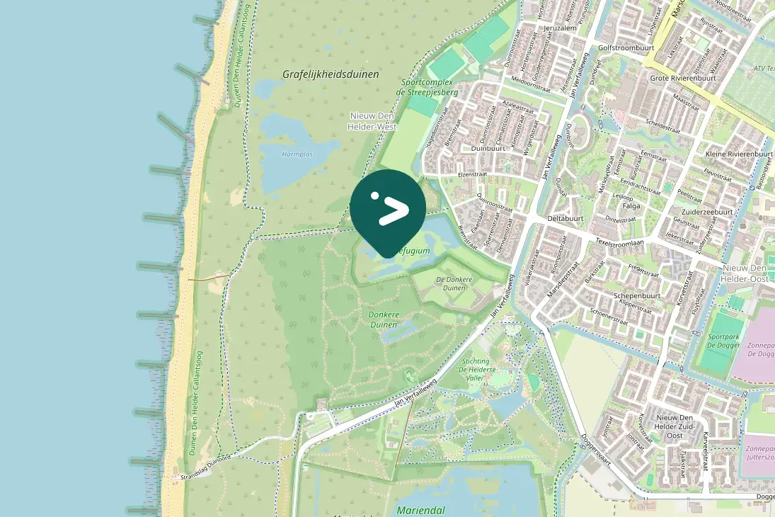 Spotted Eurasian Sparrowhawk