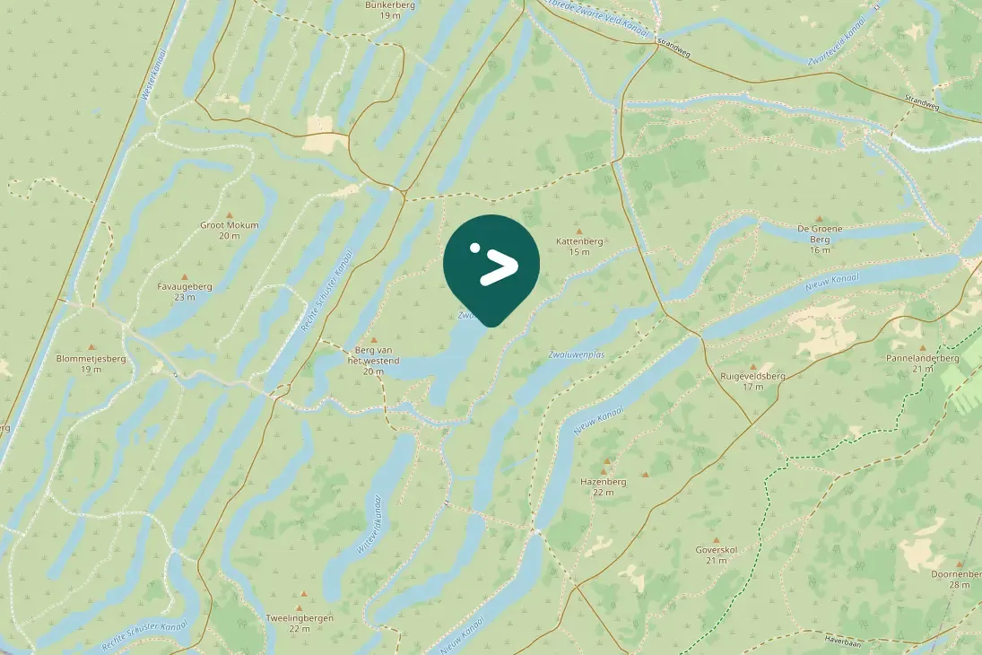 Spotted Common Goldeneye