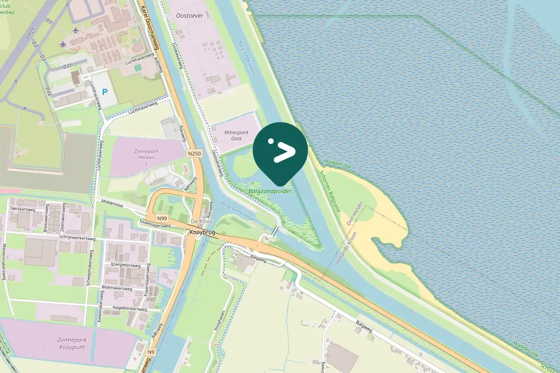 Spotted Common Snipe