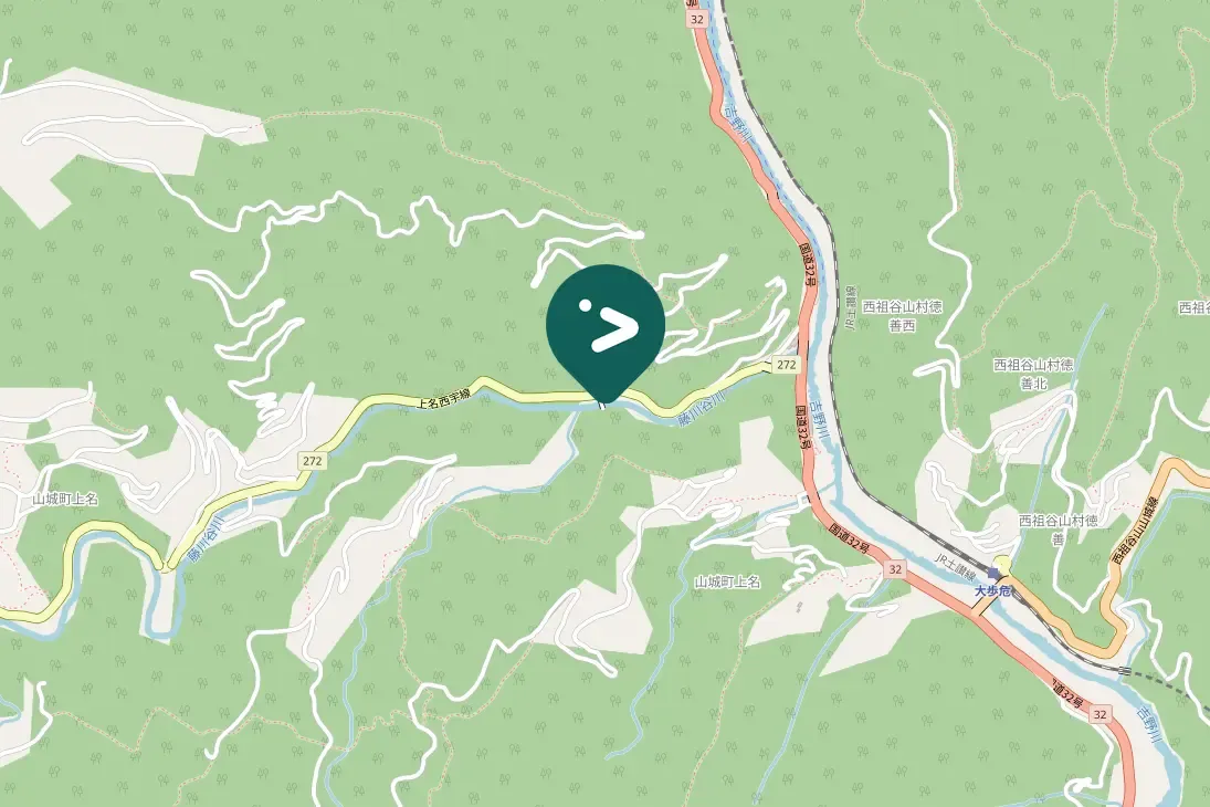 Spotted Gray Wagtail