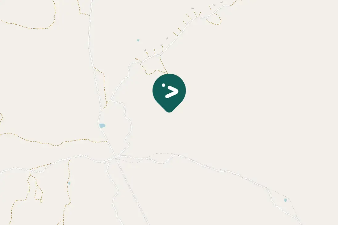 Spotted Western Cattle-Egret