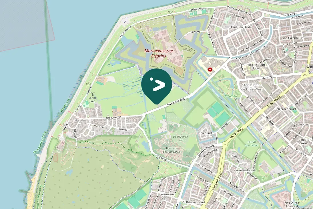 Spotted Greater White-fronted Goose