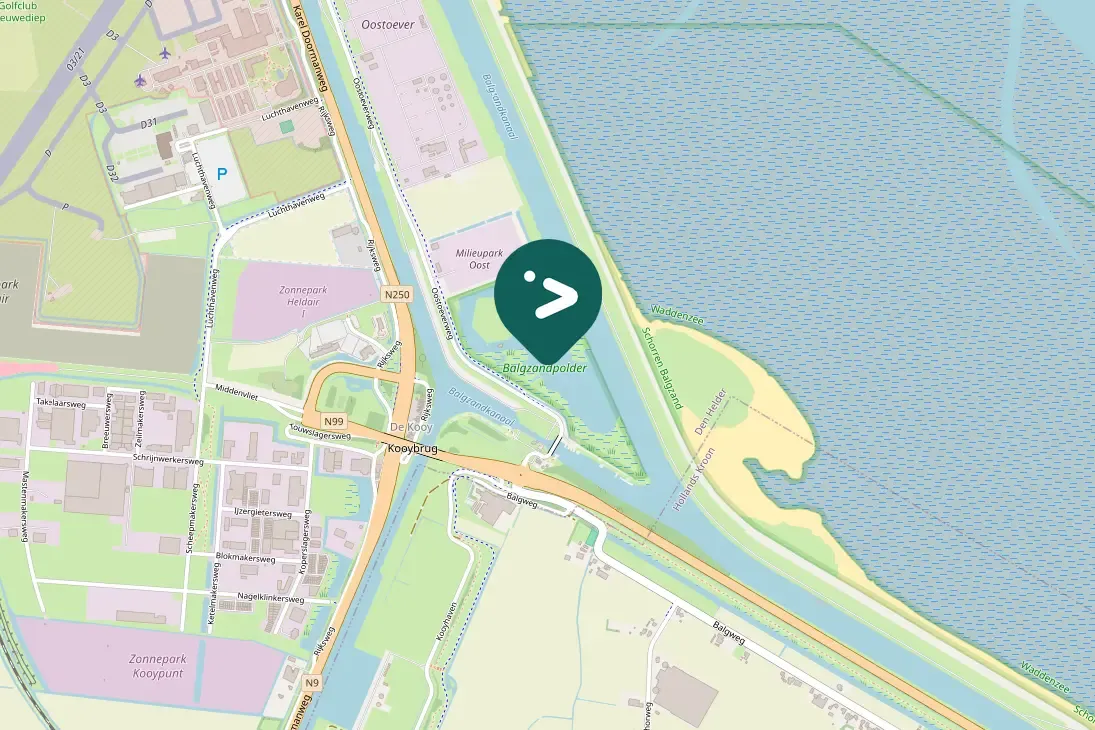 Spotted Northern Pintail