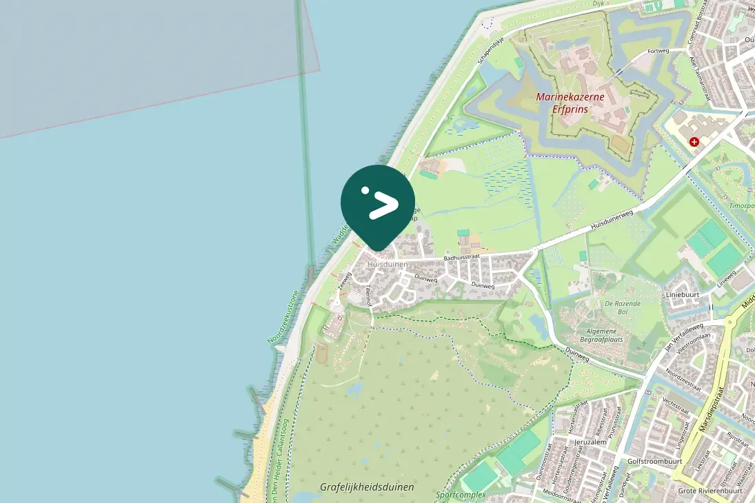 Spotted Ruddy Turnstone