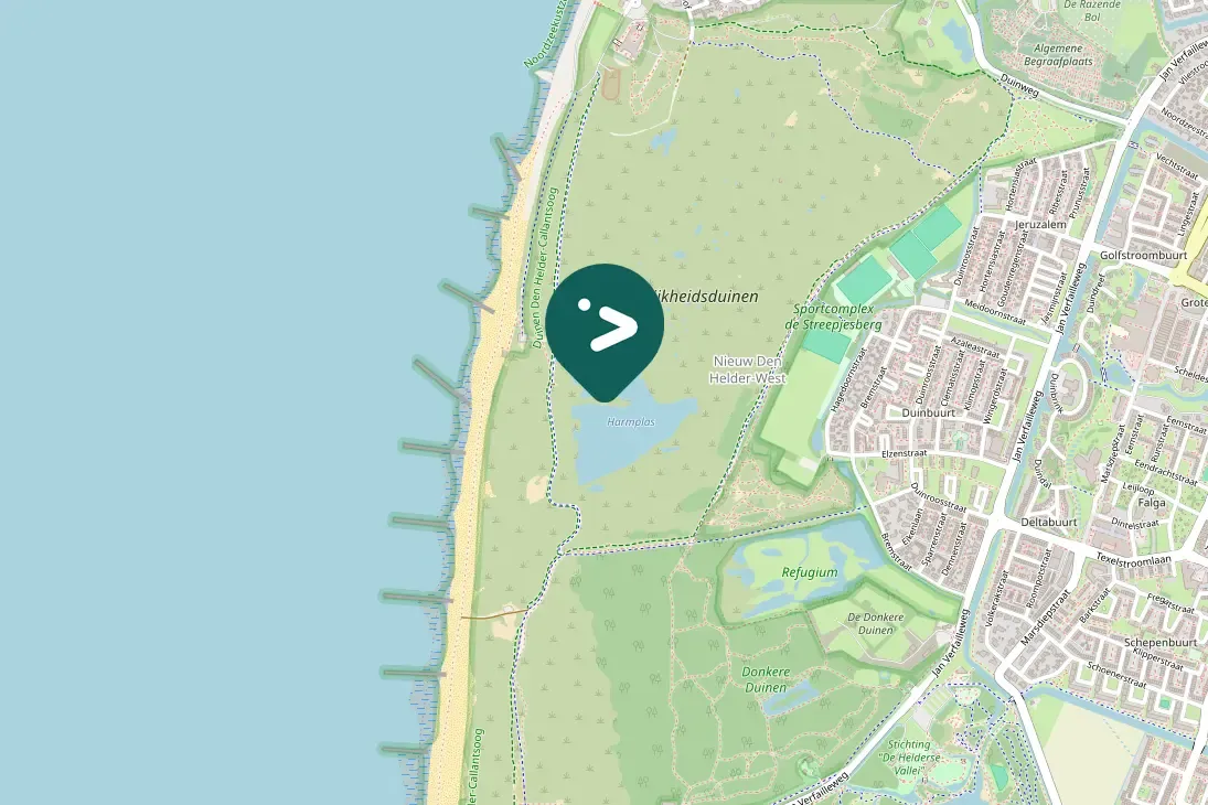 Spotted Common Sandpiper