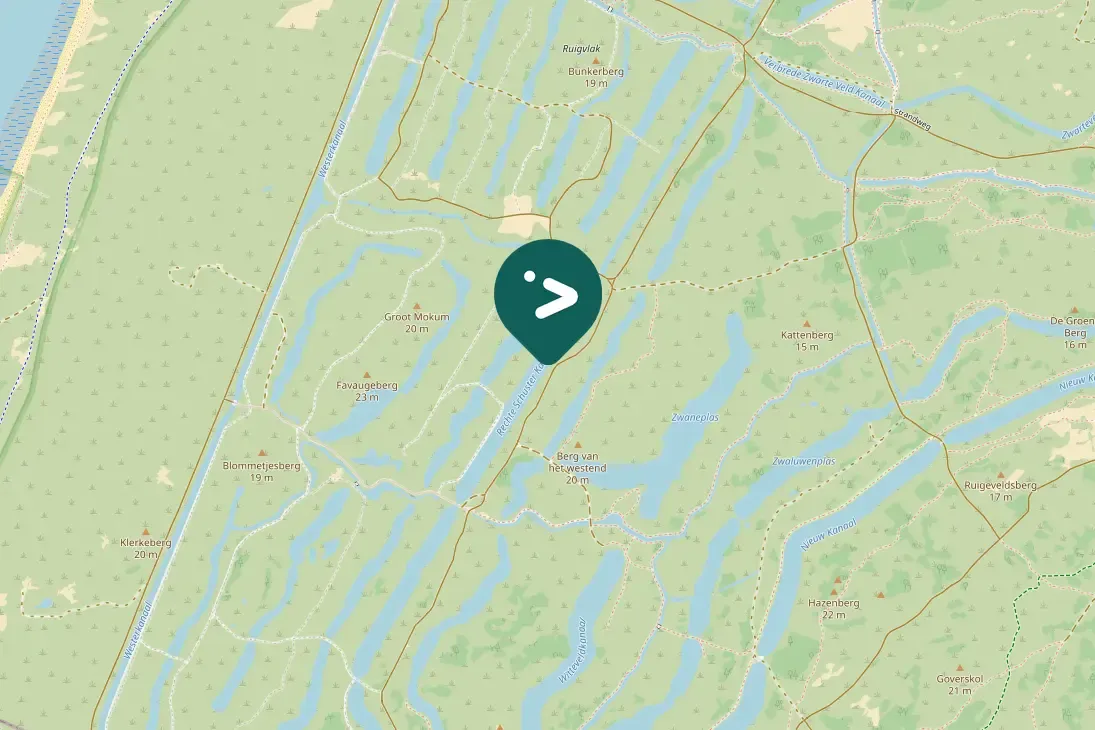 Spotted Whooper Swan