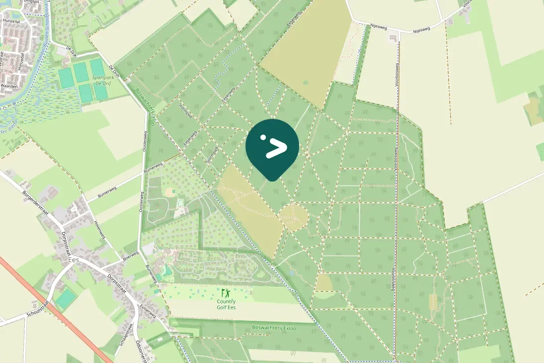 Spotted Black Woodpecker