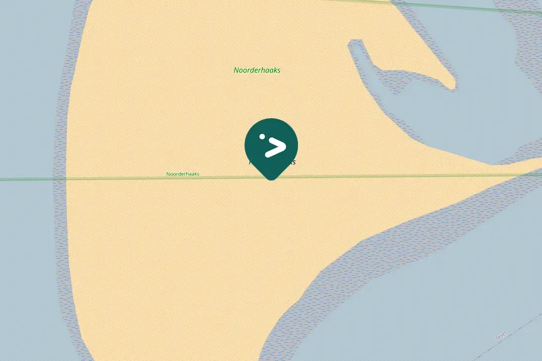 Spotted White-tailed Eagle