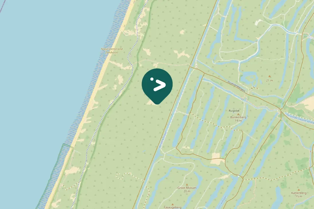 Spotted Peregrine Falcon