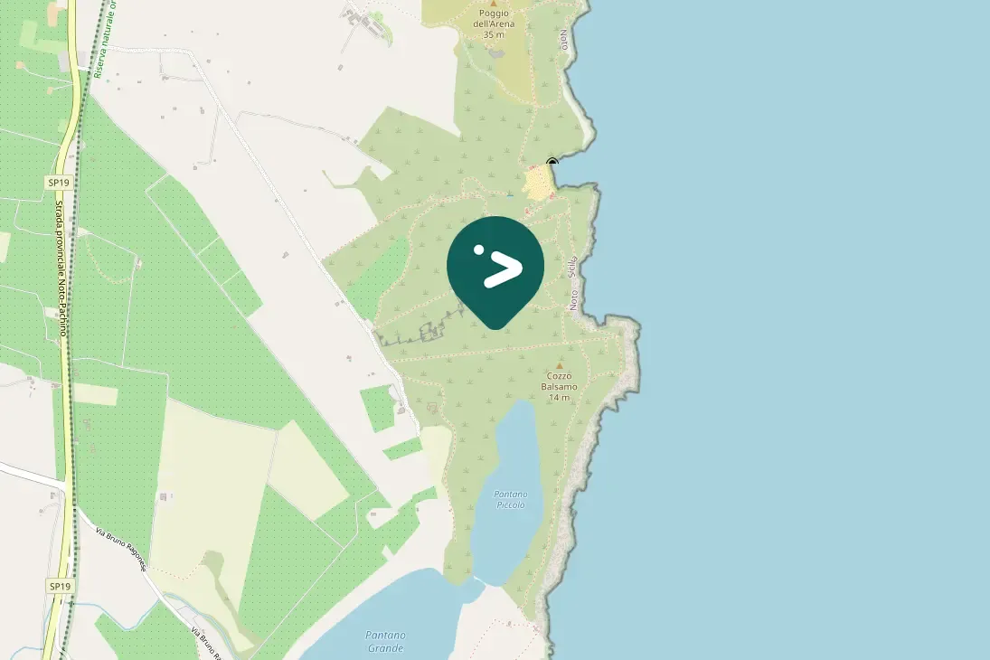 Spotted Eurasian Hoopoe