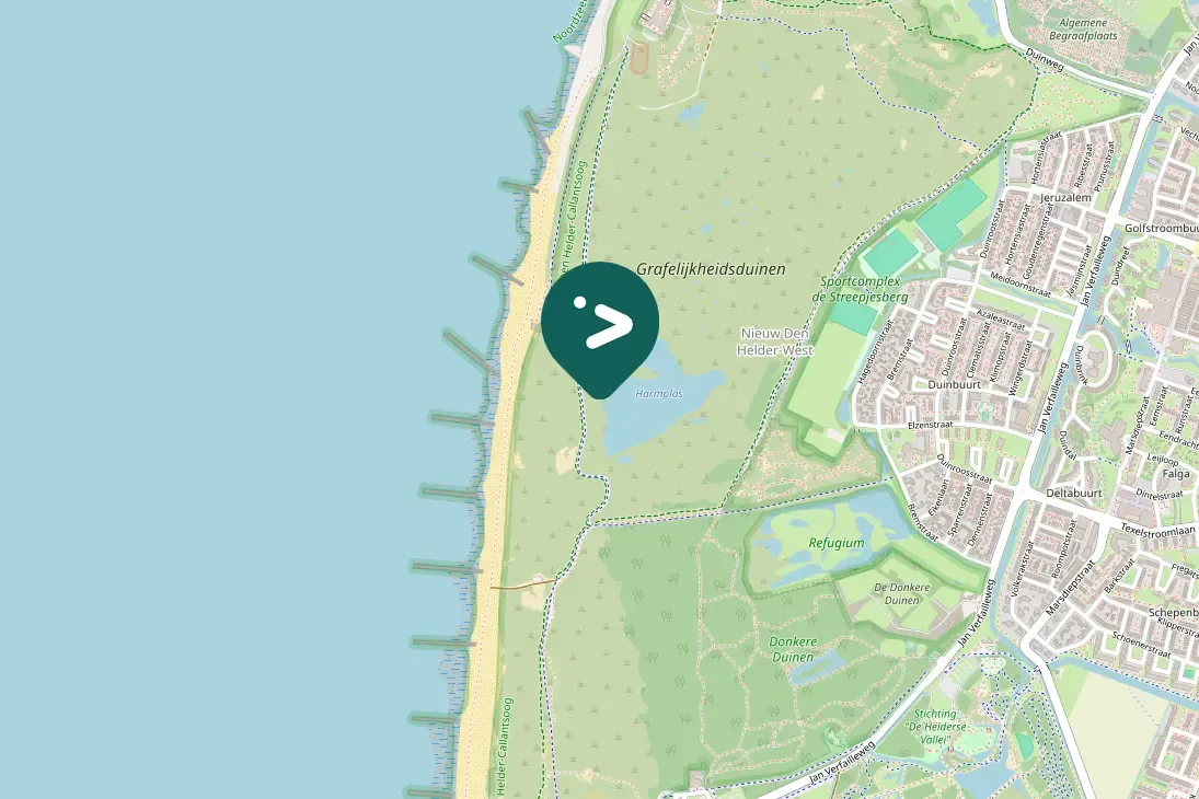 Spotted Common Greenshank