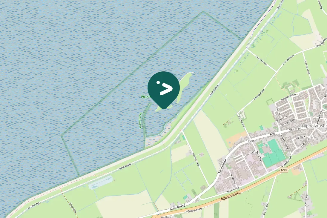 Spotted Common Ringed Plover