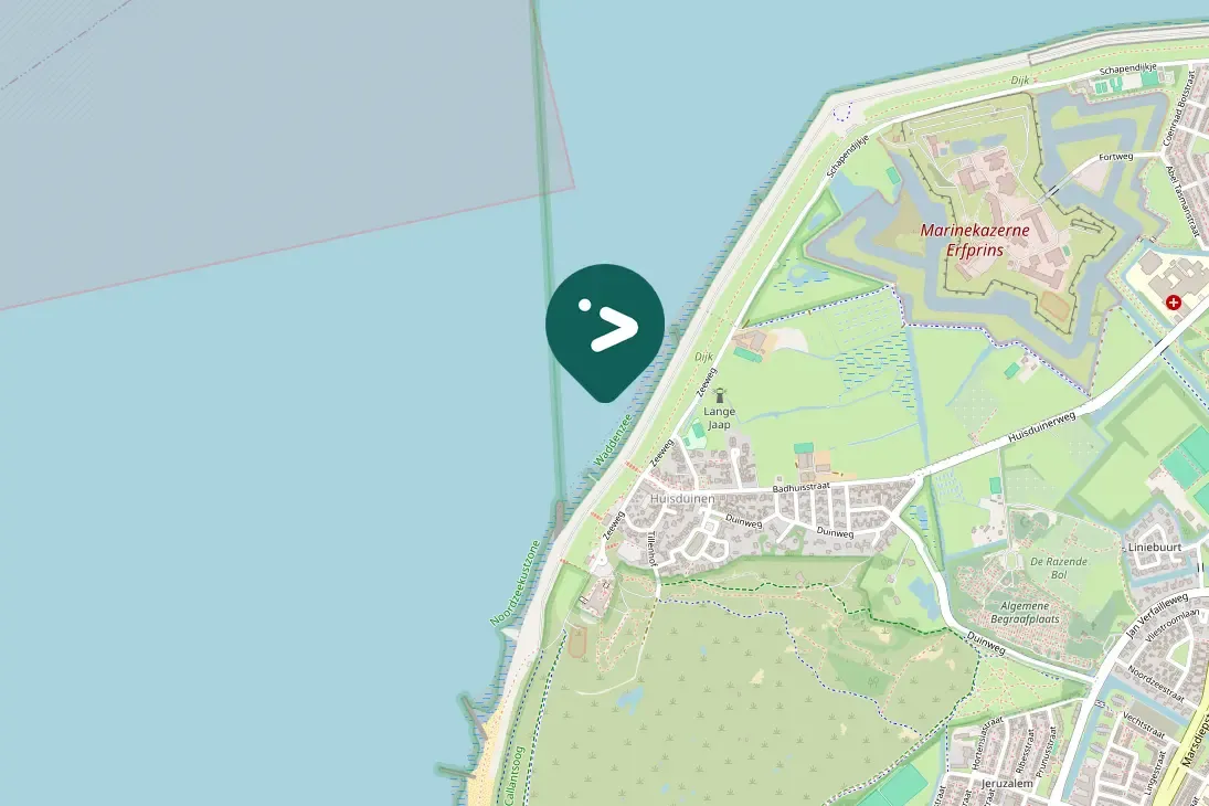 Spotted European Shag