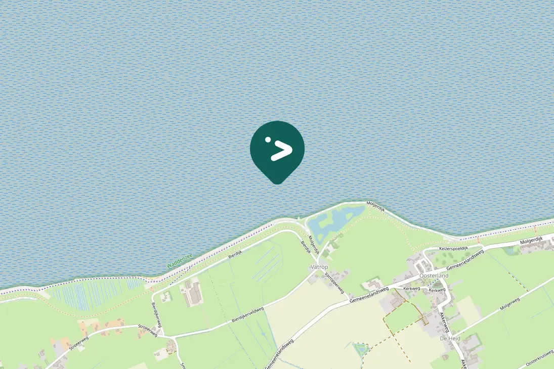 Spotted Black-bellied Plover