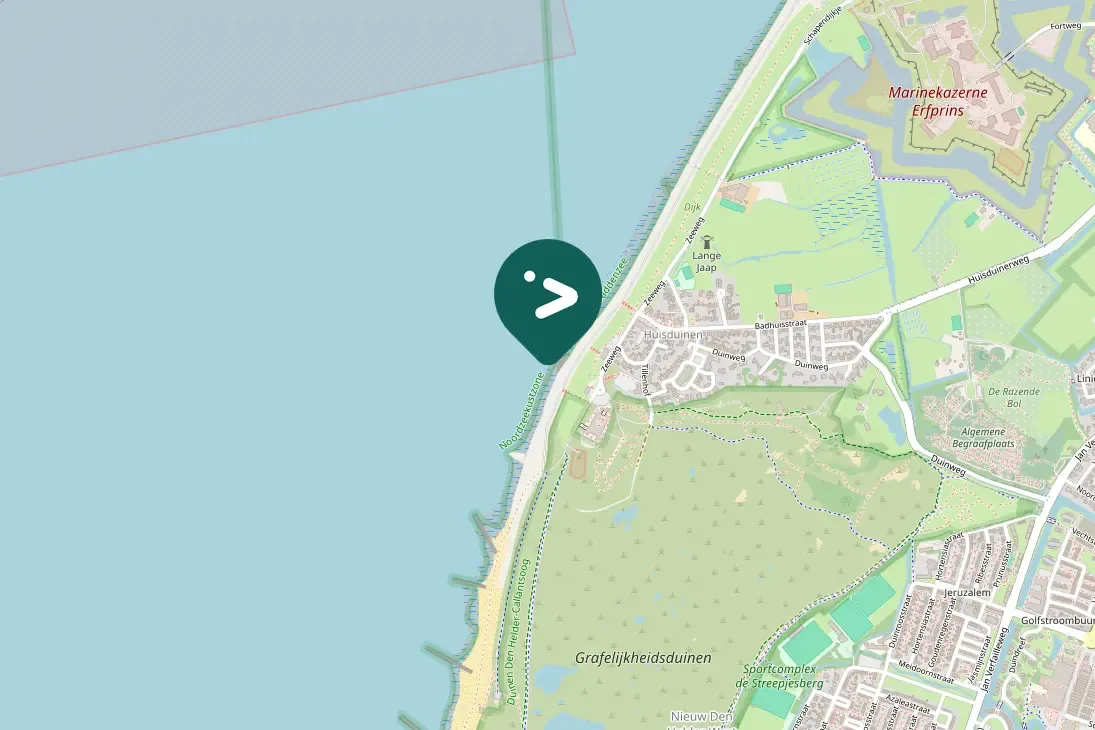 Spotted Common Eider