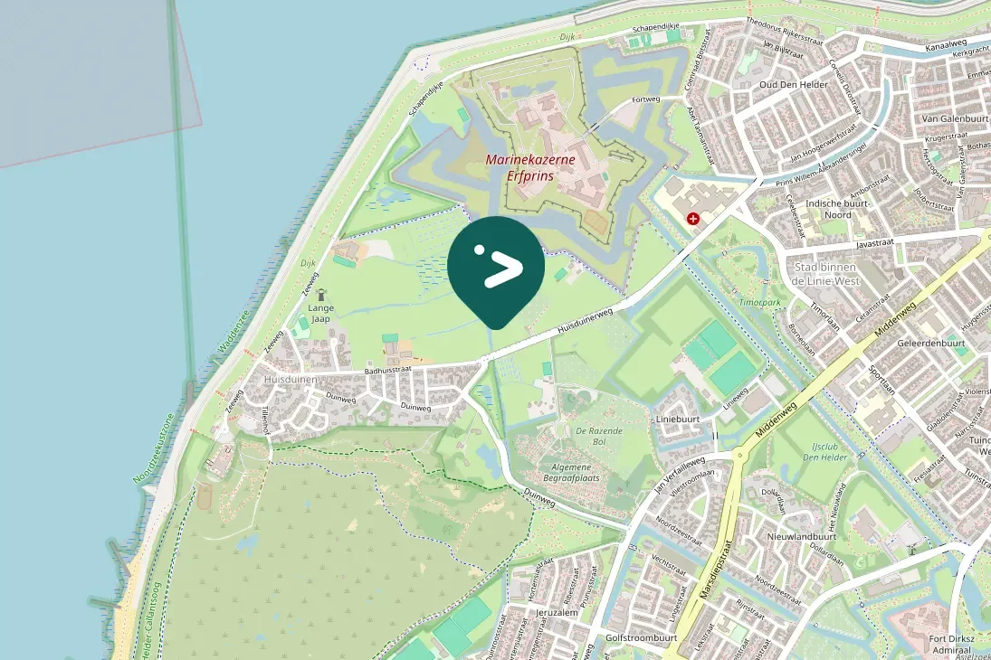 Spotted Pink-footed Goose