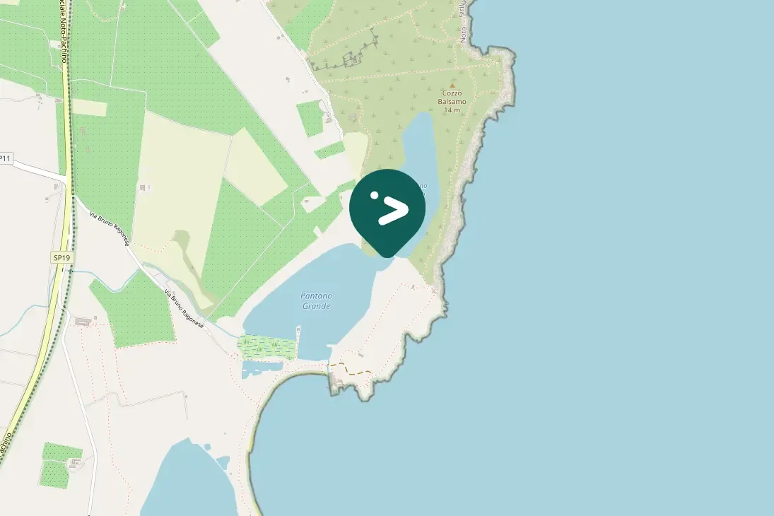 Spotted Black-winged Stilt