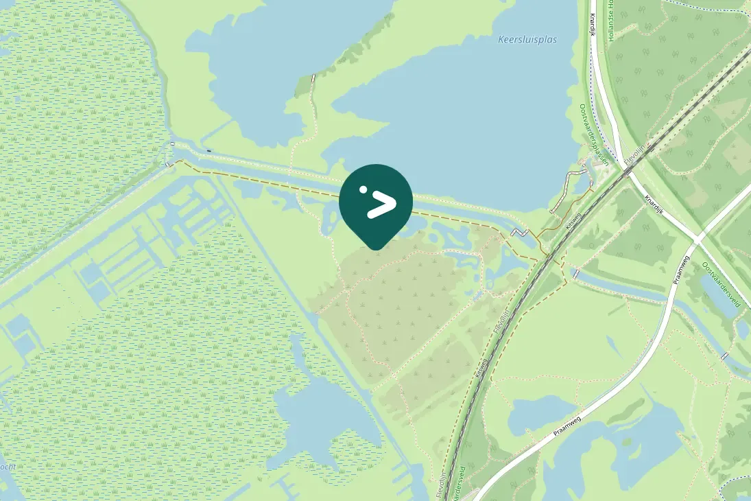 Spotted Great Gray Shrike