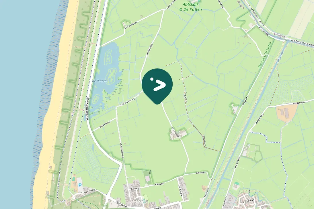 Spotted Tundra Bean-Goose