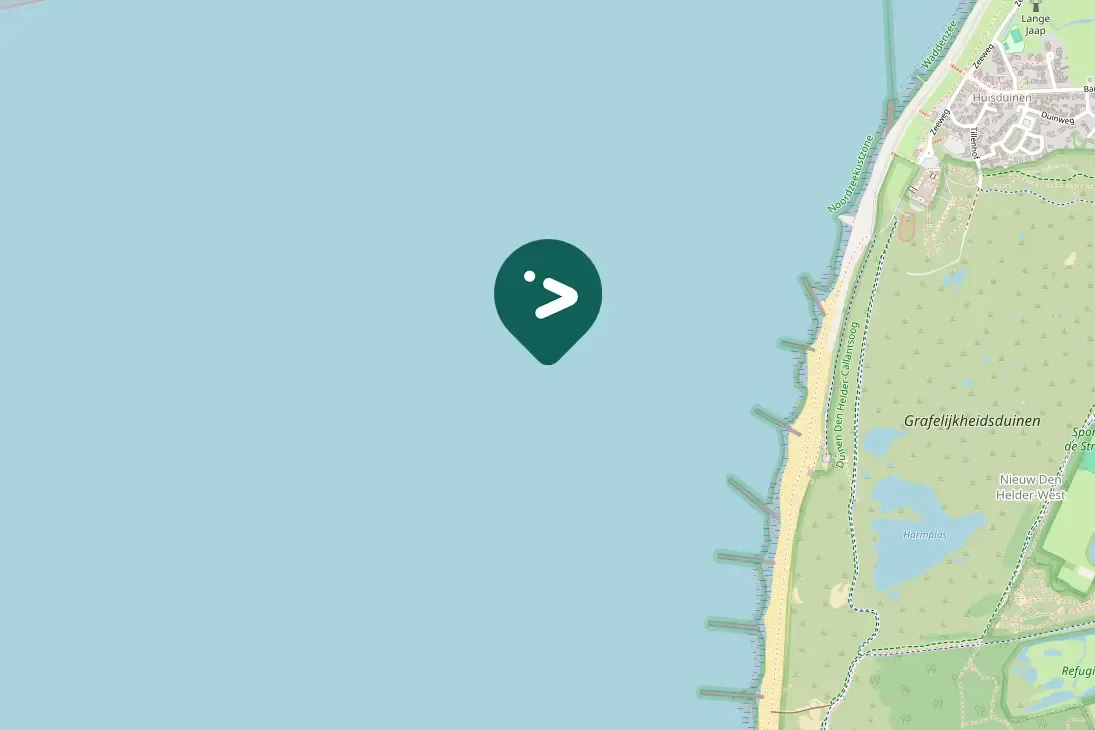 Spotted Common Scoter