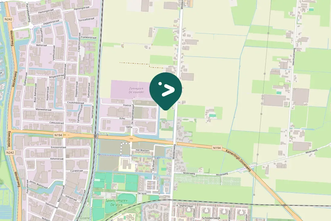 Spotted Barnacle Goose