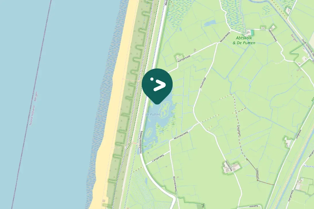 Spotted Long-tailed Duck