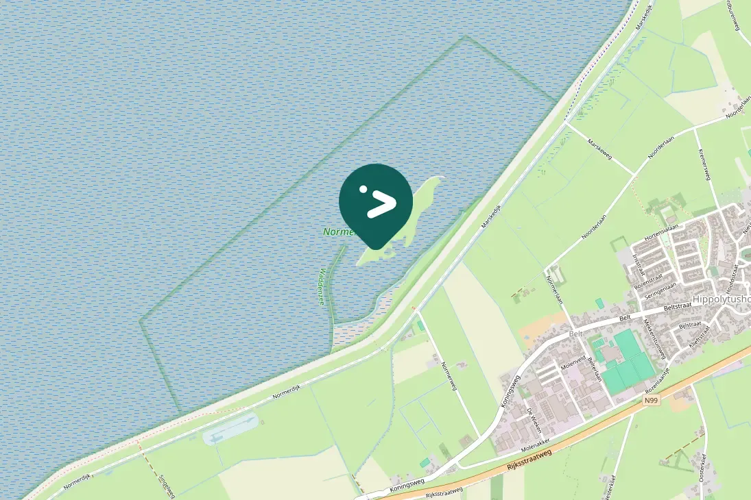 Spotted Bar-tailed Godwit