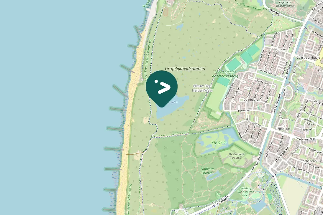 Spotted Greater Scaup