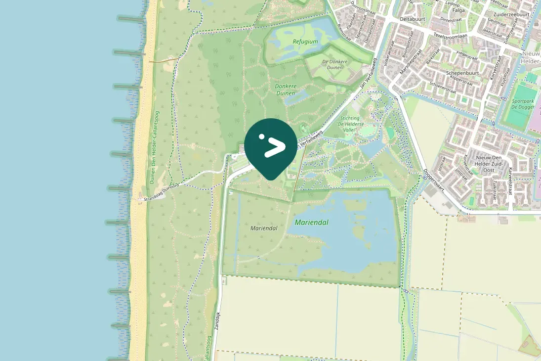 Spotted Eurasian Woodcock