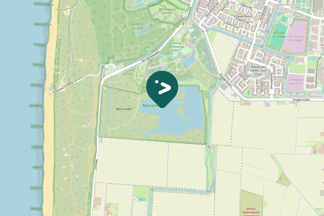 Spotted Ruddy Shelduck