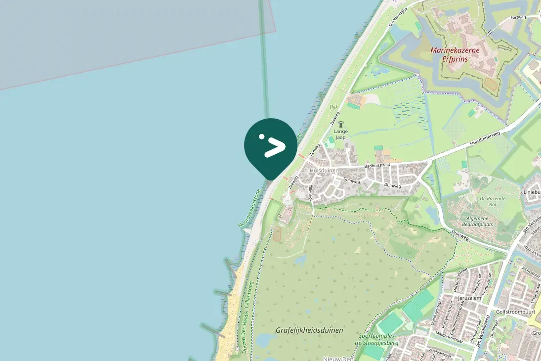 Spotted Purple Sandpiper