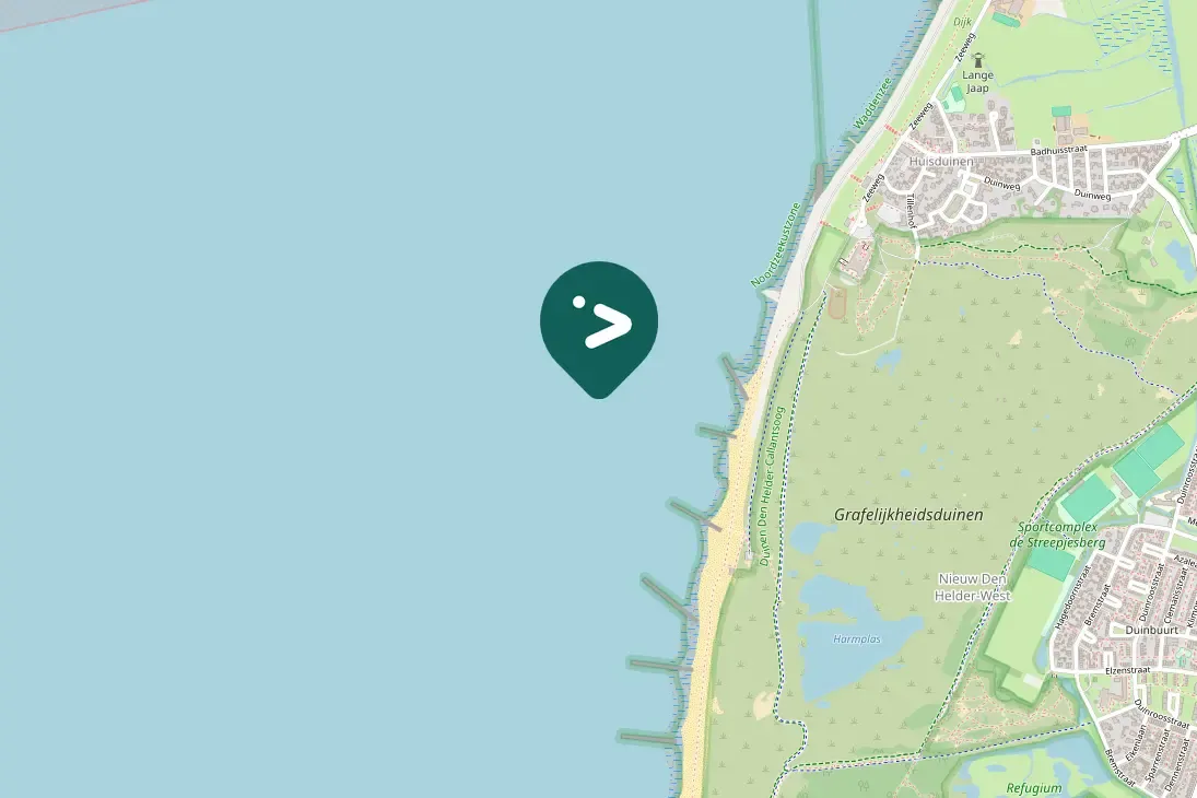 Spotted Black-legged Kittiwake