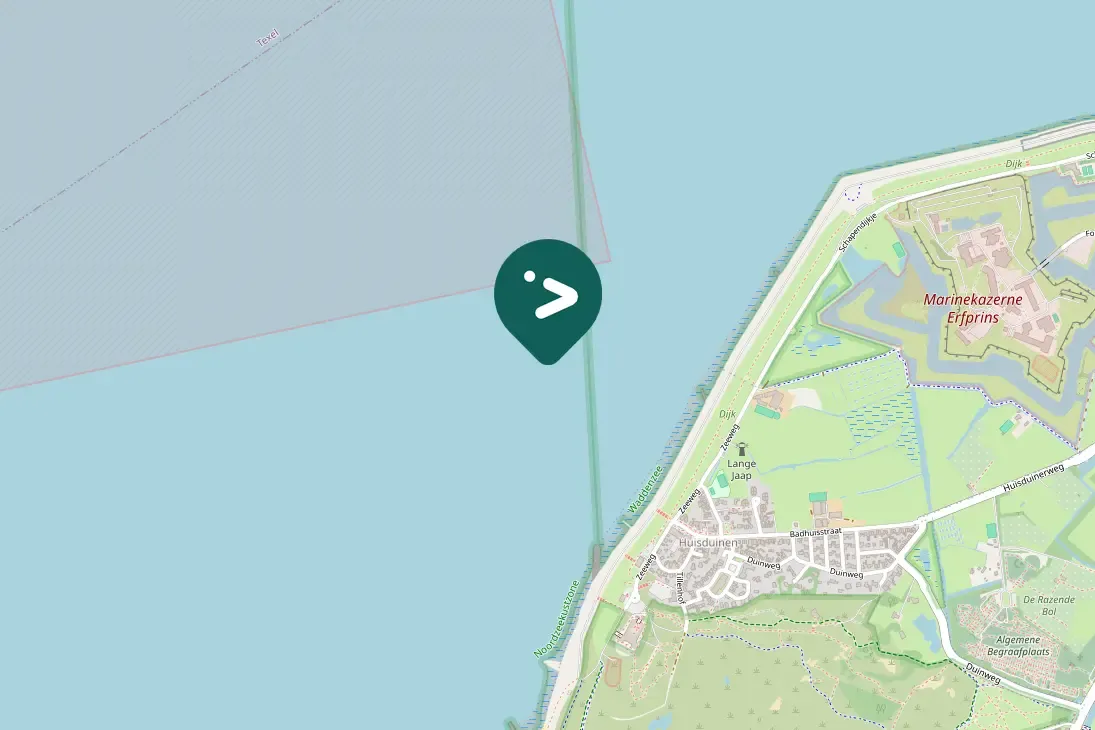 Spotted Common Murre