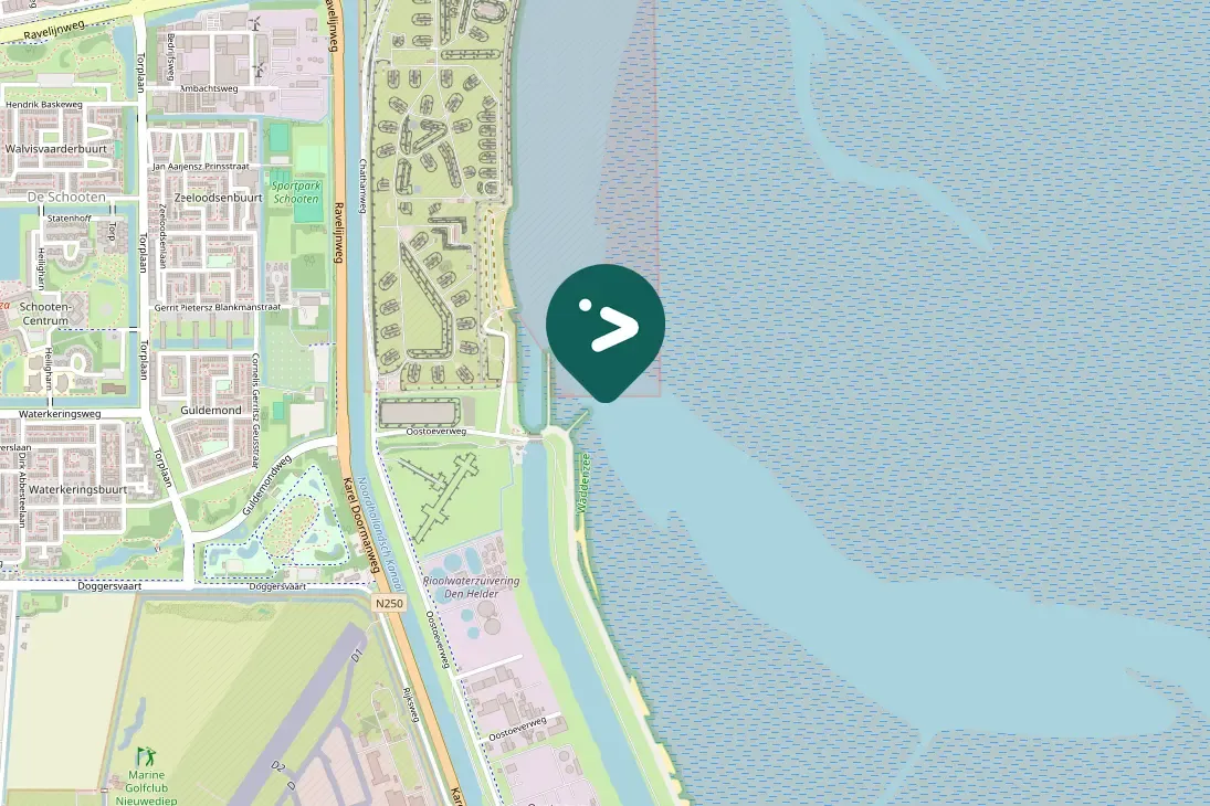 Spotted Spotted Redshank