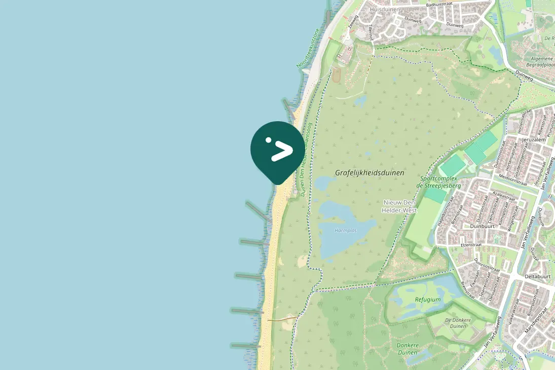 Spotted Snow Bunting