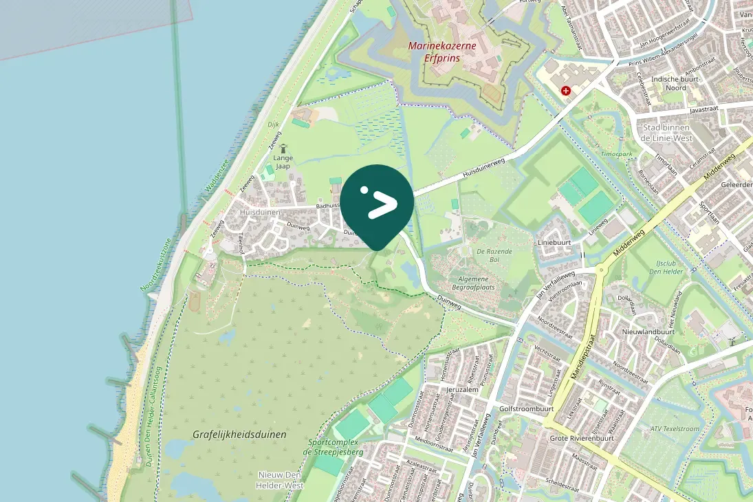 Spotted Short-eared Owl