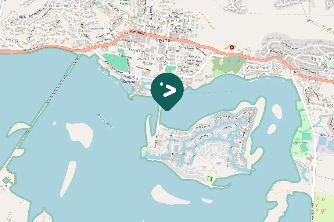 Spotted African Sacred Ibis