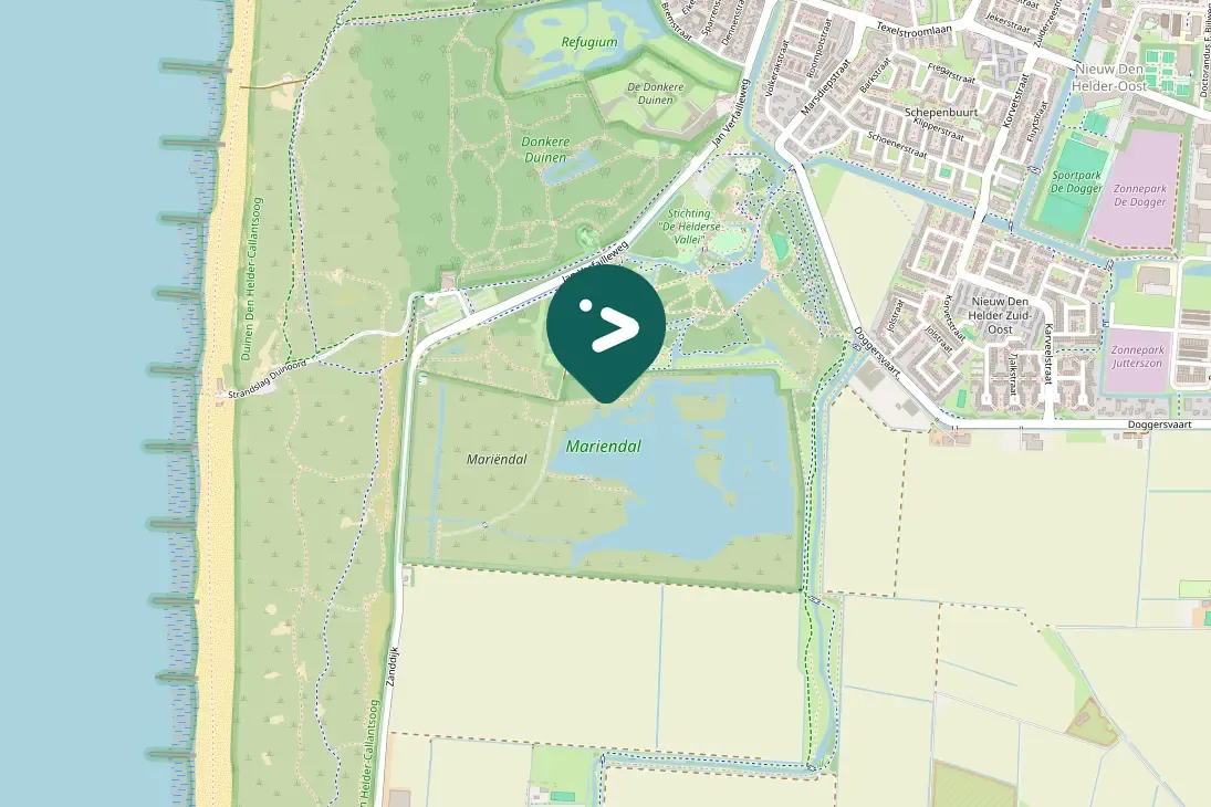 Spotted Wood Sandpiper