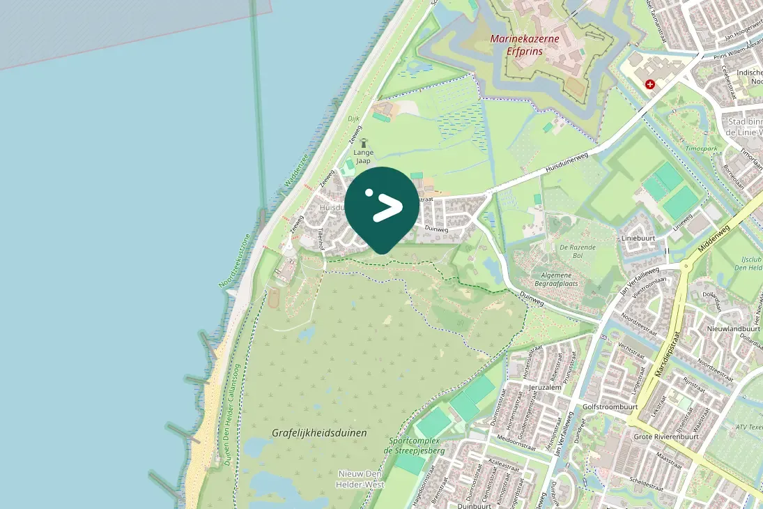 Spotted Common Swift