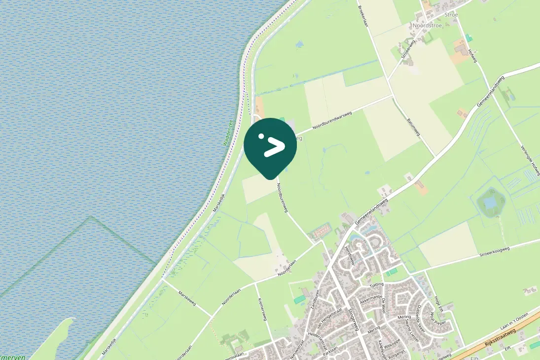 Spotted Red-breasted Goose