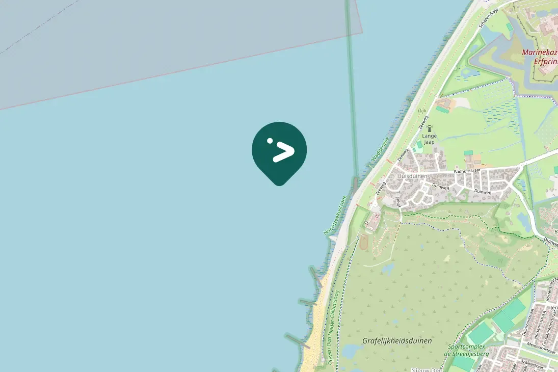 Spotted Manx Shearwater