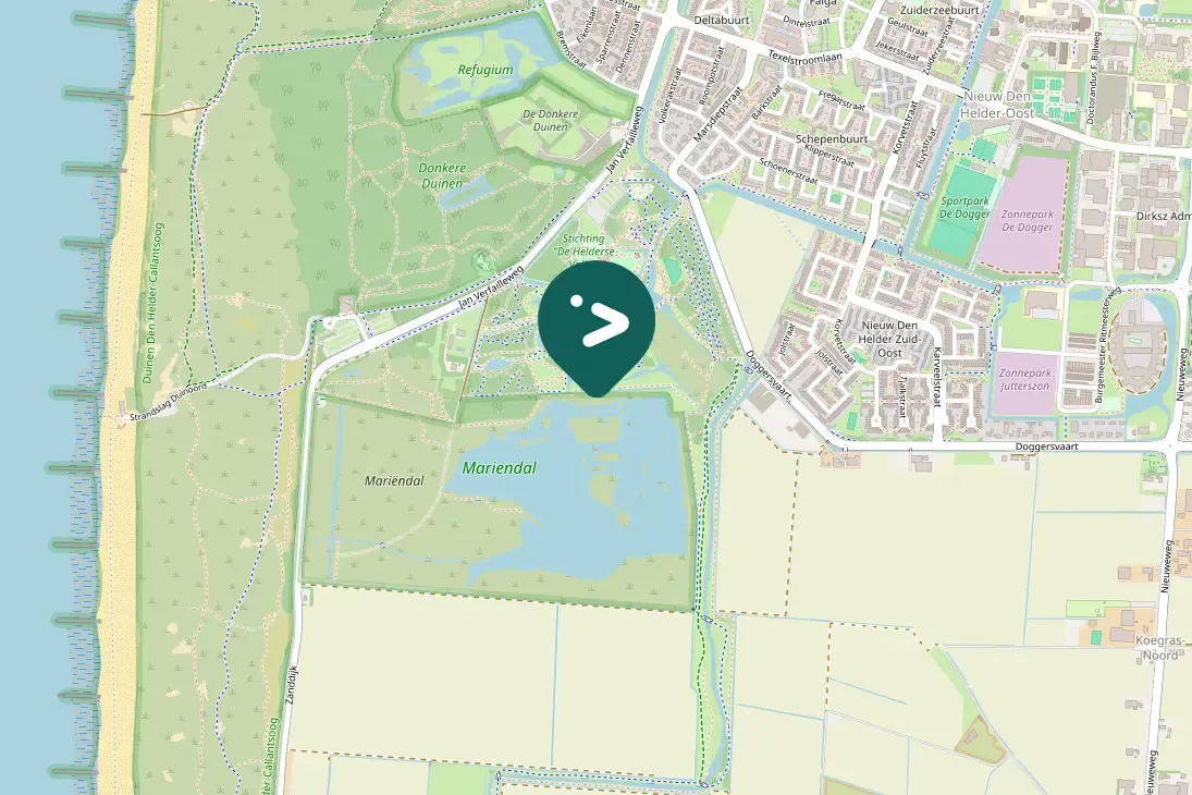 Spotted Common Cuckoo