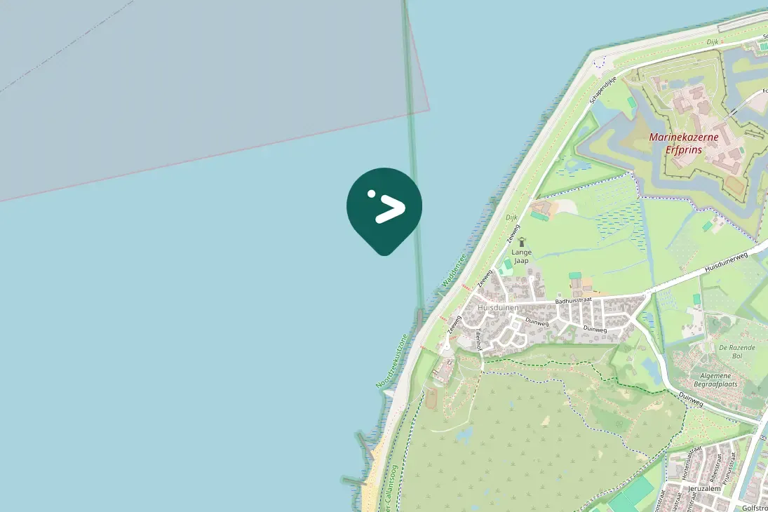 Spotted Bonaparte's Gull