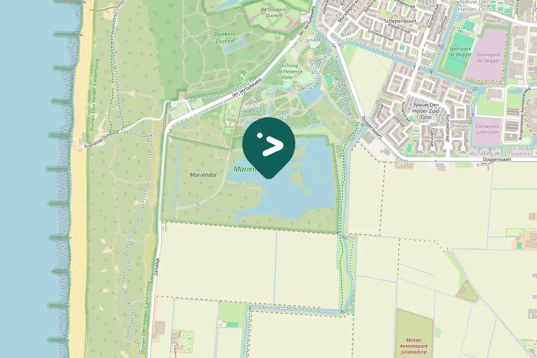 Spotted Temminck's Stint