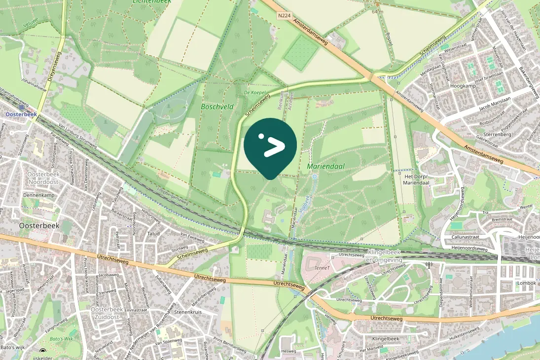 Spotted Great Spotted Woodpecker