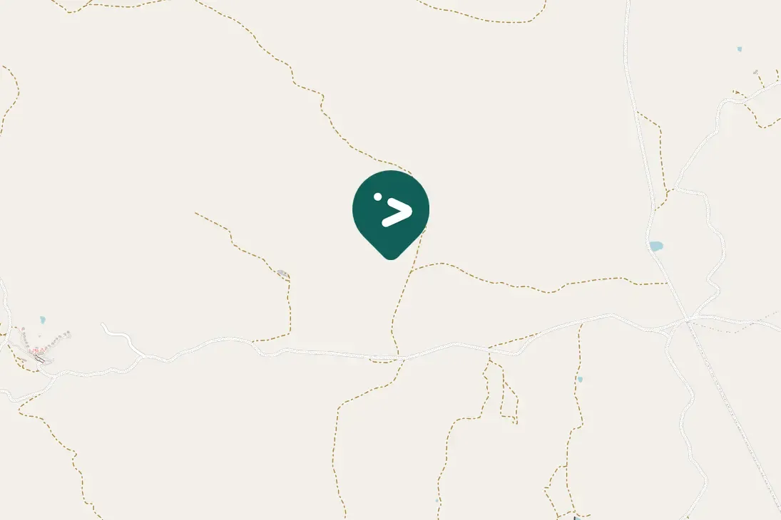 Spotted Helmeted Guineafowl