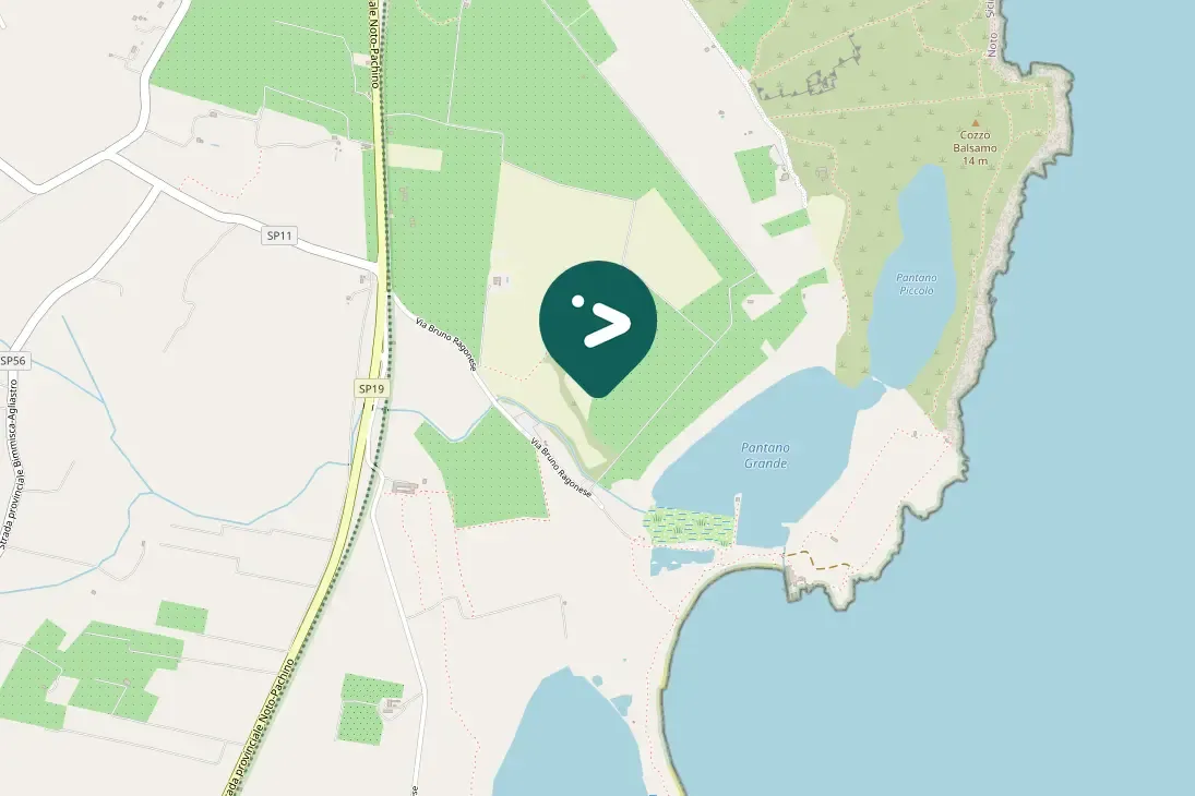 Spotted European Bee-eater