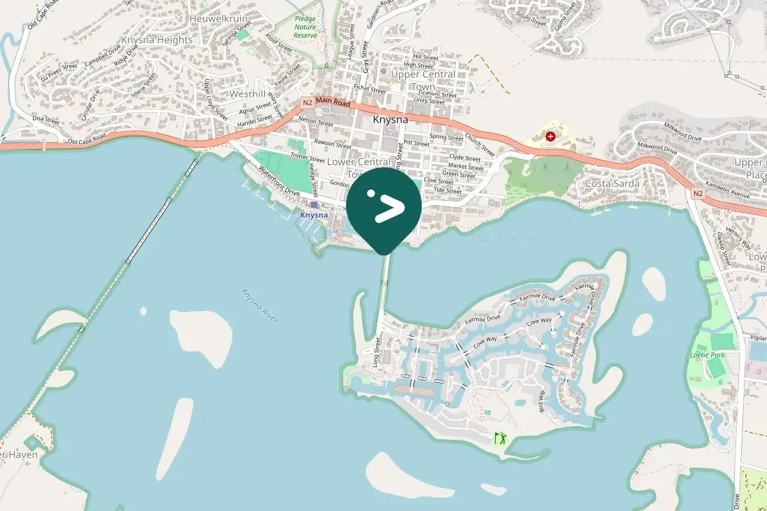 Spotted African Spoonbill